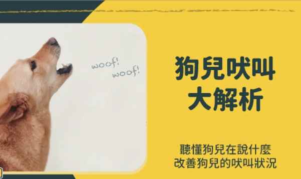 吠叫訓練方法 吠叫訓練方法