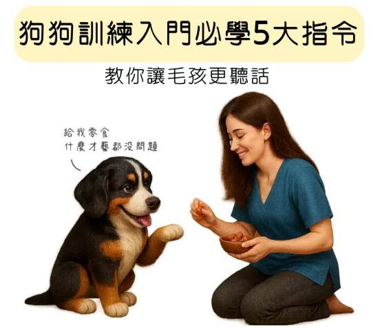 寵物訓練方法