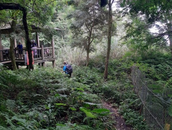 蟾蜍山步道路線