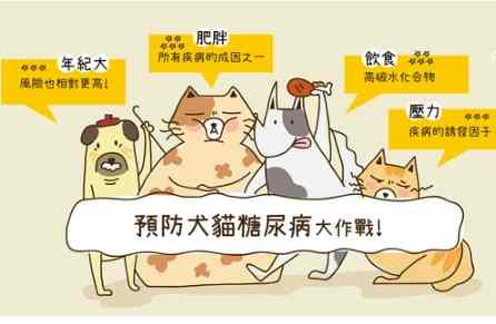 貓糖尿病風險因素 貓糖尿病風險因素