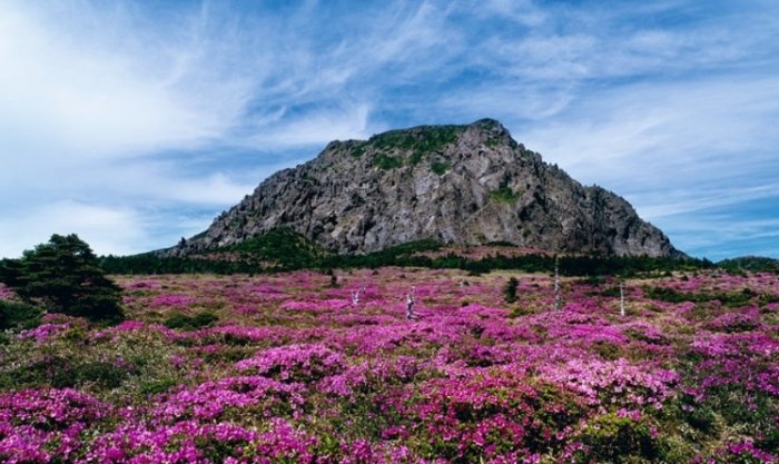 漢拏山登山路線 漢拏山登山路線
