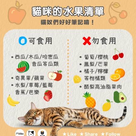 貓可以吃芒果嗎 貓可以吃芒果嗎