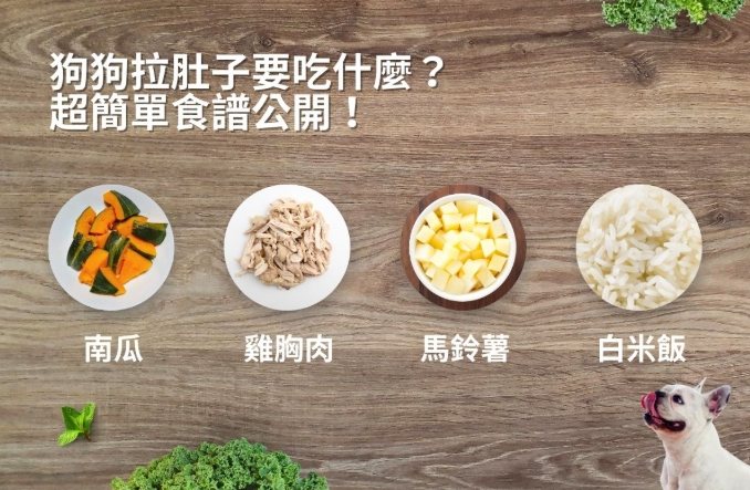 狗狗拉肚子飲食 狗狗拉肚子飲食