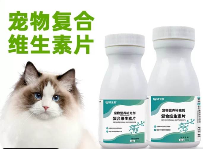 猫补钙食材 猫补钙食材