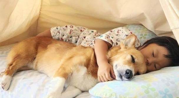小狗睡眠時間 小狗睡眠時間