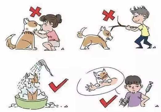 狂犬病疫苗接種 狂犬病疫苗接種