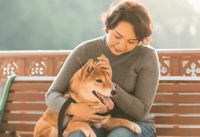 養狗注意事項
