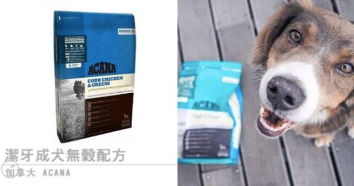 問題狗飼料 問題狗飼料
