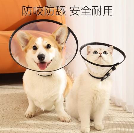 狗狗防舔用品 狗狗防舔用品