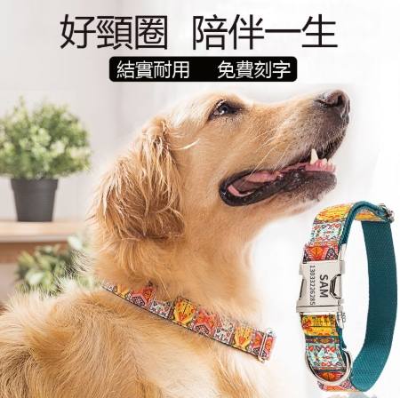狗狗防舔咬