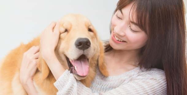 養狗前評估