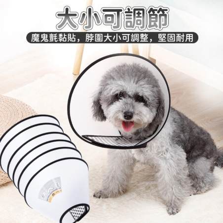 寵物頸圈