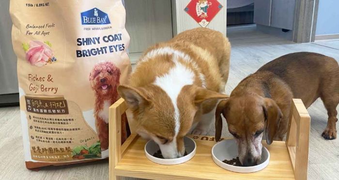問題狗飼料 問題狗飼料