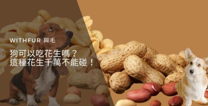 狗吃花生糖安全 狗吃花生糖安全
