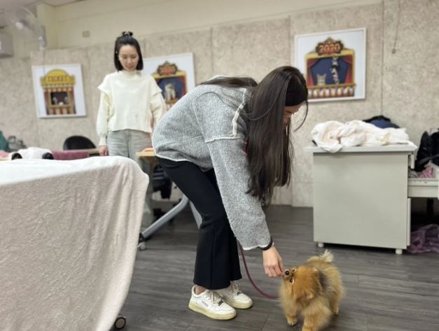 狗狗訓練課程