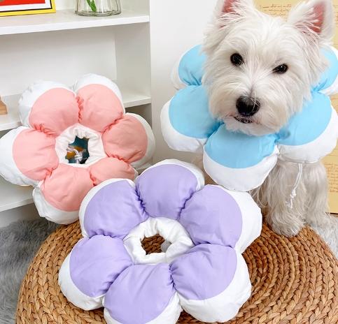 狗狗頭套品牌比較 狗狗頭套品牌比較