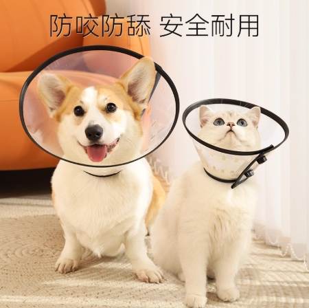 狗狗術後護理 狗狗術後護理