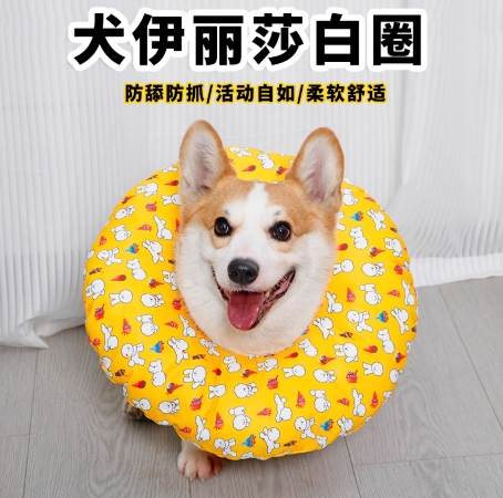 防舔圈推薦 防舔圈推薦