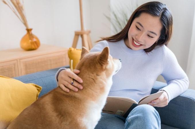 狗狗飼養心理