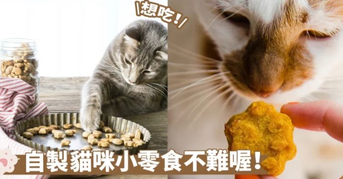自製貓零食食譜 自製貓零食食譜