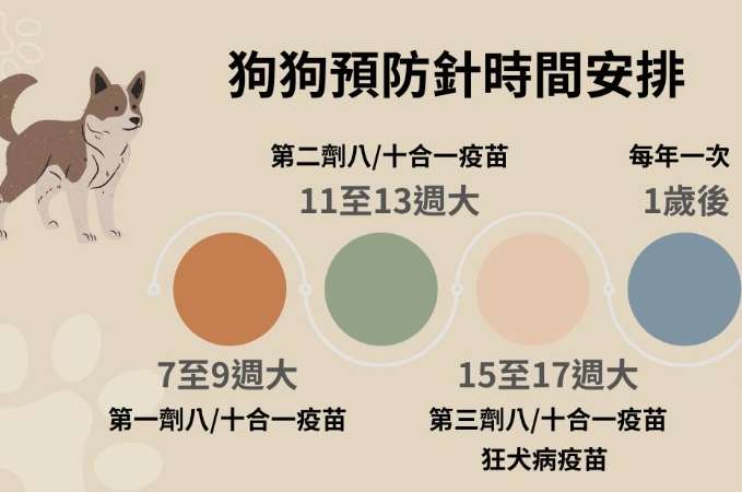 幼犬疫苗時間表 幼犬疫苗時間表