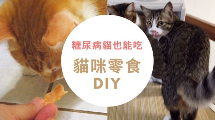 貓咪健康零食DIY 貓咪健康零食DIY