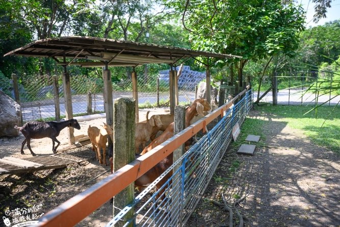 屏东牧场旅游 屏东牧场旅游