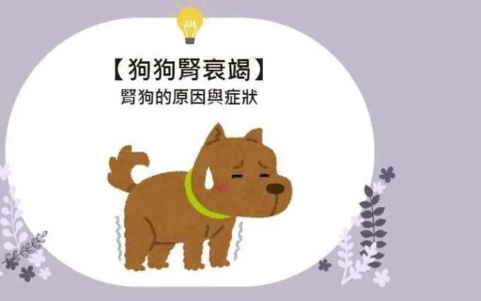 腎衰竭第二期症狀 腎衰竭第二期症狀