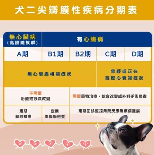 犬心臟病治療 犬心臟病治療