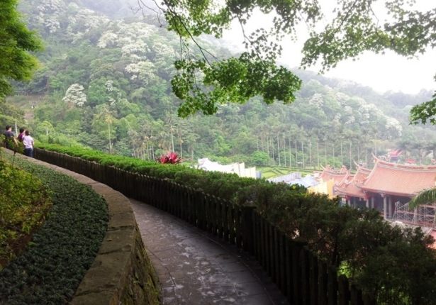白雞山步道 白雞山步道