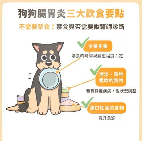 腎衰竭狗狗食物 腎衰竭狗狗食物