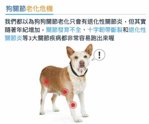 狗腳顫抖 狗腳顫抖