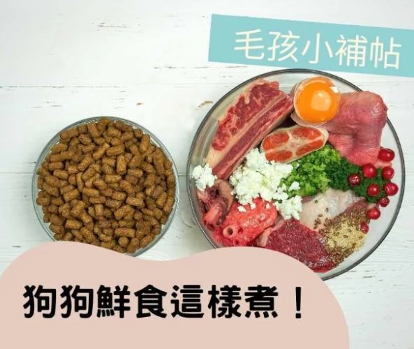 幼犬自製鮮食 幼犬自製鮮食