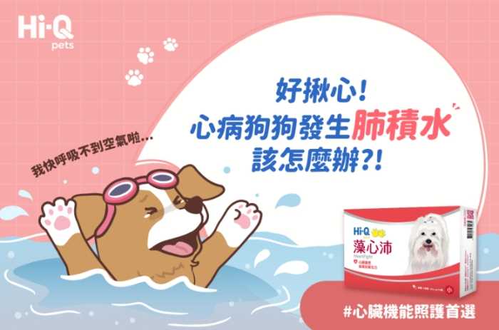 狗狗肺積水治療 狗狗肺積水治療