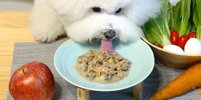 幼犬營養食譜 幼犬營養食譜