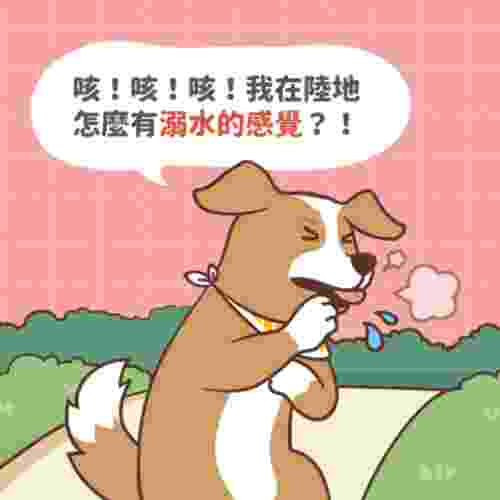 狗狗肺積水症狀 狗狗肺積水症狀