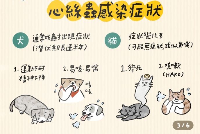 心絲蟲預防方法 心絲蟲預防方法