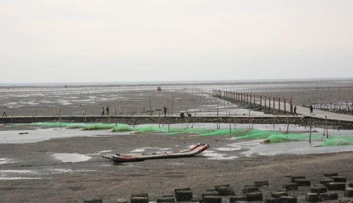 王功潮間帶 王功潮間帶