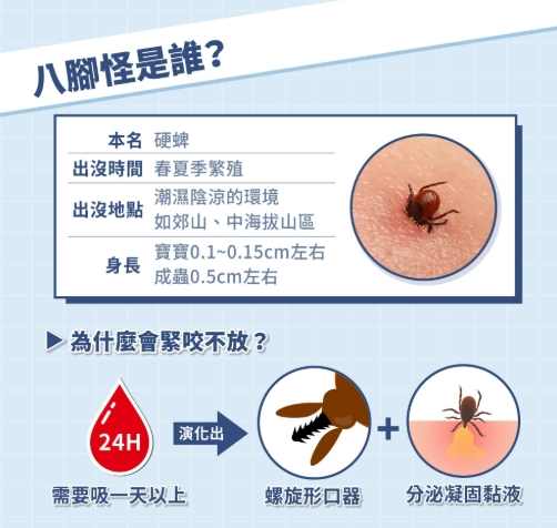 蜱蟲處理方法 蜱蟲處理方法