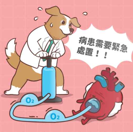 狗肺積水治療 狗肺積水治療