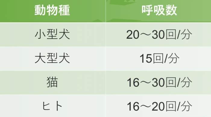 幼犬呼吸急促原因 幼犬呼吸急促原因
