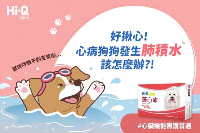 狗狗肺積水症狀 狗狗肺積水症狀