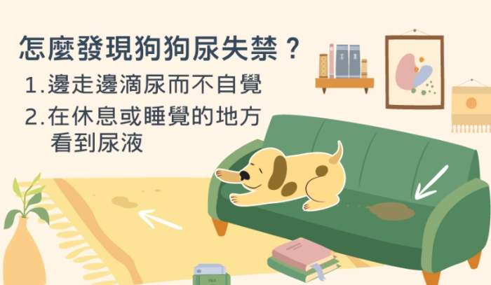 尿毒症早期跡象 尿毒症早期跡象