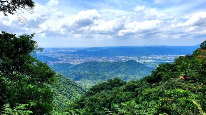 三峽白雞旅遊 三峽白雞旅遊