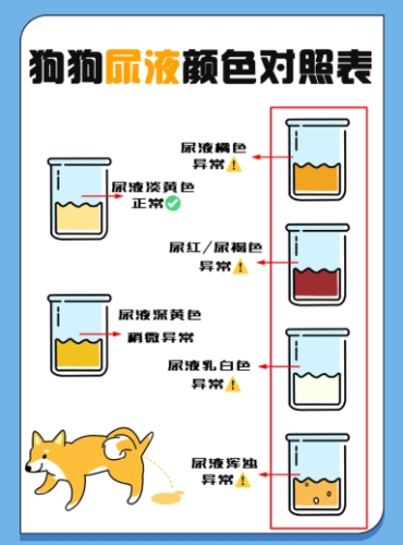 尿毒症早期跡象 尿毒症早期跡象