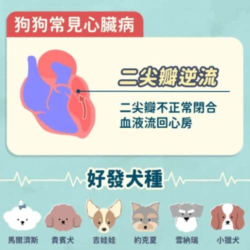 狗心臟病症狀 狗心臟病症狀