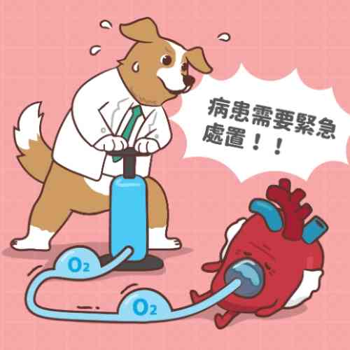 狗狗肺積水症狀 狗狗肺積水症狀
