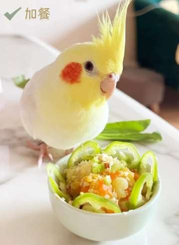 鸚鵡水果安全 鸚鵡水果安全