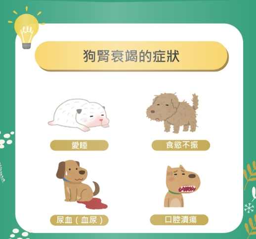 腎衰竭狗狗治療 腎衰竭狗狗治療