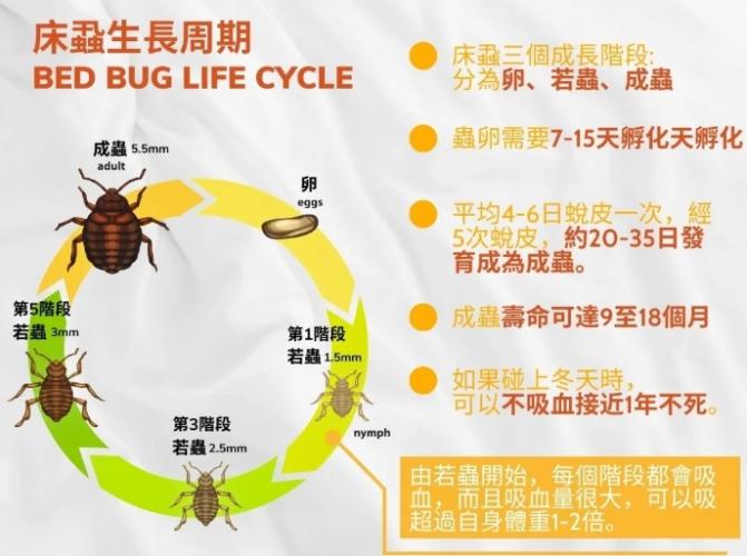 壁蝨殺蟲劑推薦 壁蝨殺蟲劑推薦